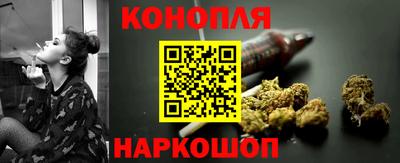 крисы Кинель