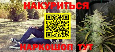 крисы Кинель