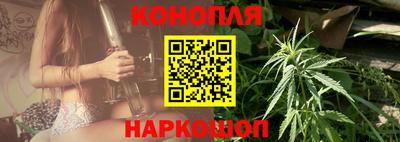 крисы Кинель