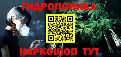 крисы Кинель