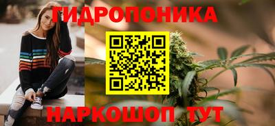 круглые Кингисепп